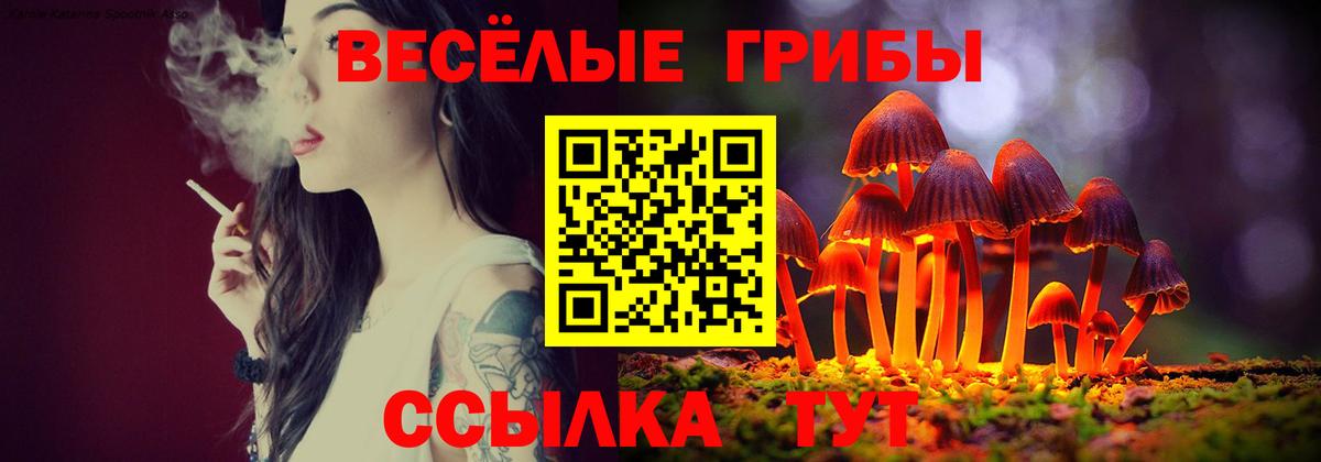Галлюциногенные грибы Magic Shrooms  где продают   Волгоград  Вход с VPN 
